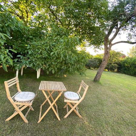 Au Paradis D'Alsace 55 M2 Nature & Relax Ingwiller Exterior foto
